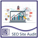 JTL SEO Site Audit Analyse